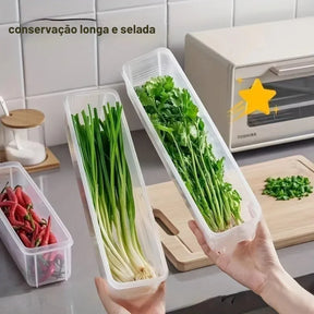 Caixa Selada para Geladeira – Conserva Cebolinha, Coentro e Temperos