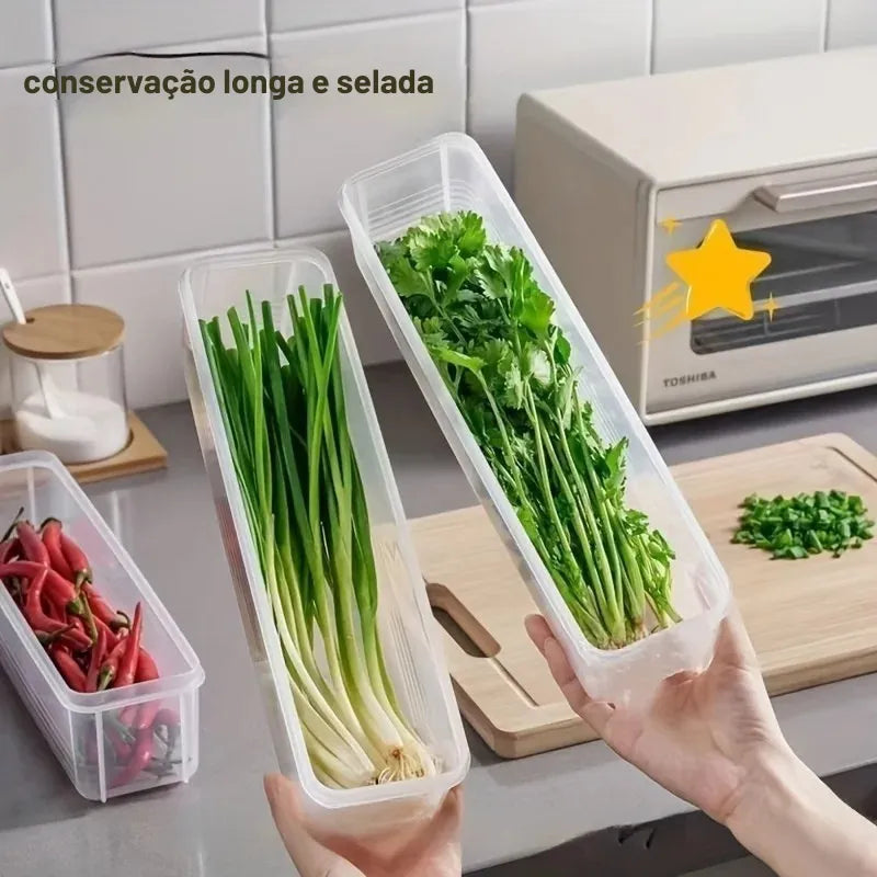 Caixa Selada para Geladeira – Conserva Cebolinha, Coentro e Temperos