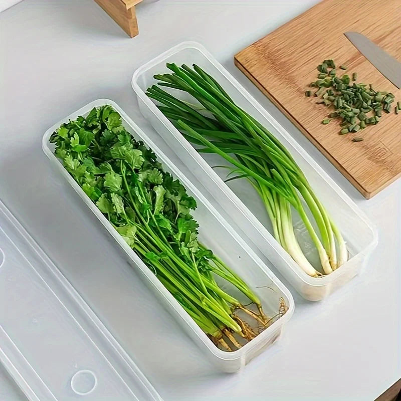 Caixa Selada para Geladeira – Conserva Cebolinha, Coentro e Temperos