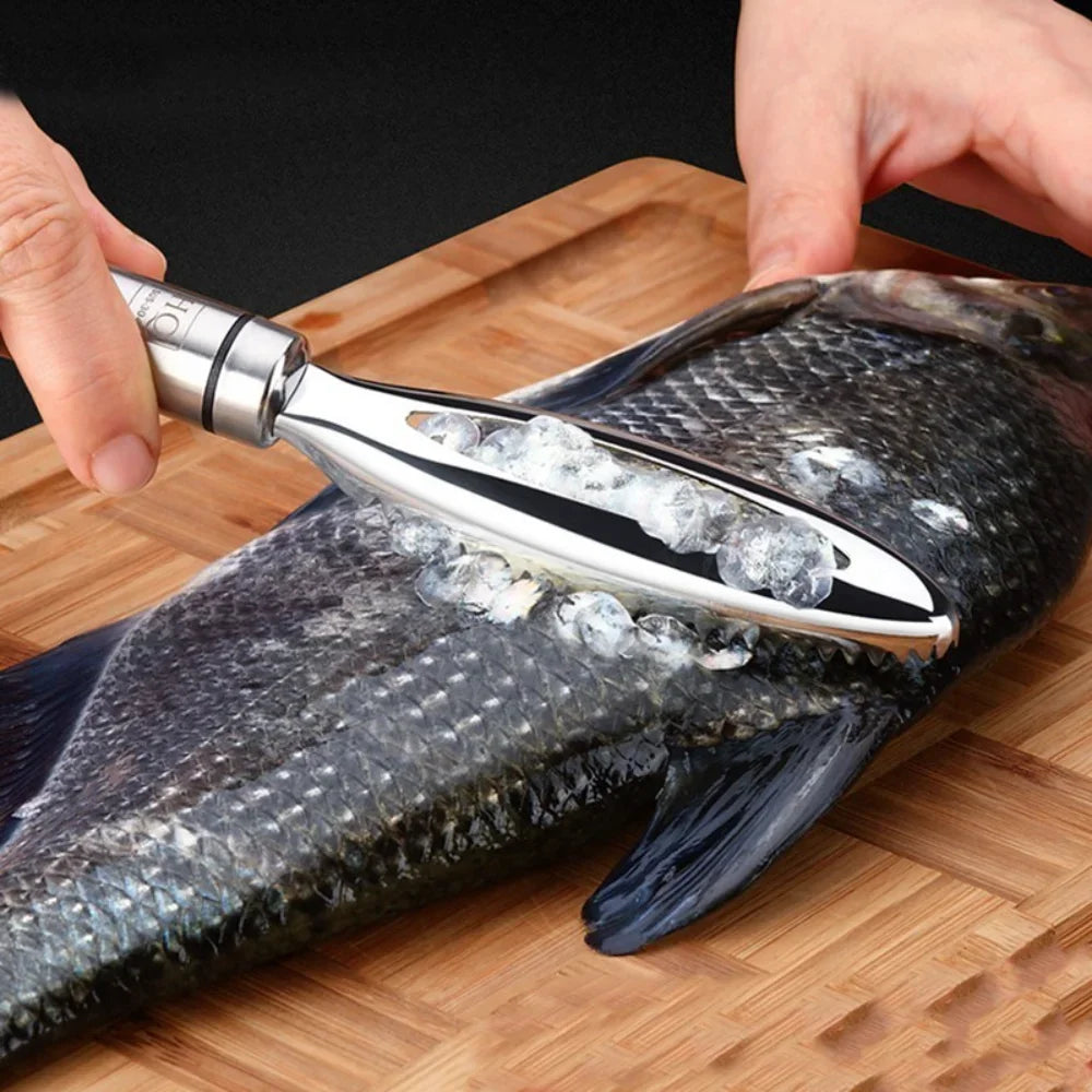 Removedor de Escamas de Peixe Inox